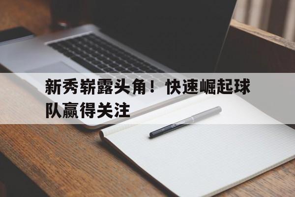 新秀崛起球队解锁