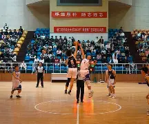 挪威篮球联赛官网